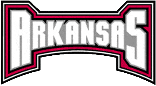 Arkansas Razorbacks 2001-2008 Wordmark Logo 02 iron on paper